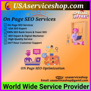 Website On Page SEO Services